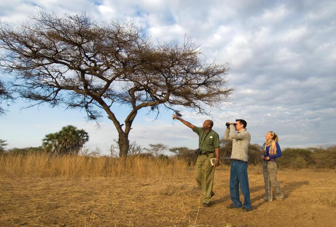 Severin Safari Camp Tsavo West National Park Kültér fotó